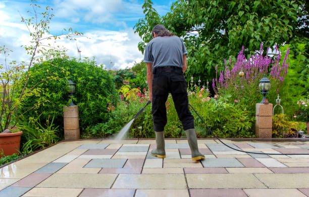 Best Winterizing Services  in Laie, HI